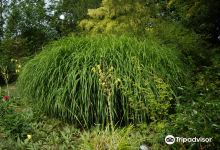 Botanischer Garten景点图片
