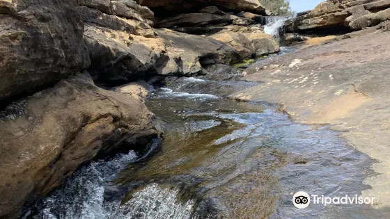 Mermaids Pool