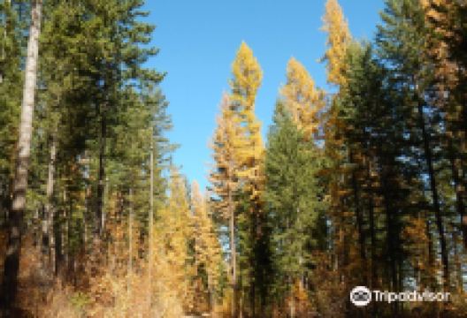 Kimberley Nature Park景点图片