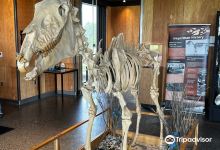 Hagerman Fossil Beds National Monument, Visitor's Center景点图片