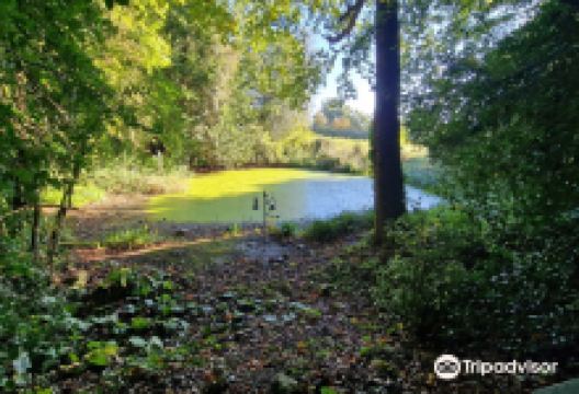 Warley Place Nature Reserve景点图片