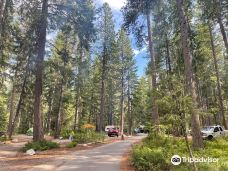 Lake Wenatchee State Park-奇兰县