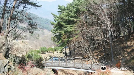智異山庭院