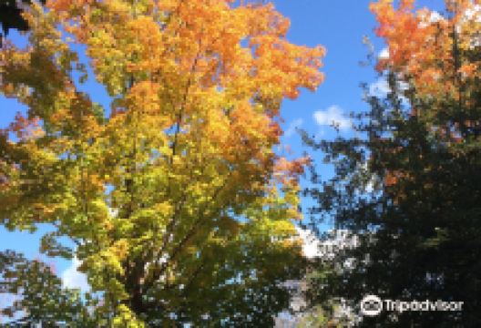 Pomona Mills Park景点图片