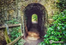 Paddy Freeman's Park景点图片