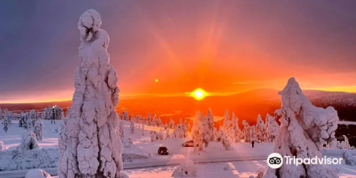 Lapland Safaris Levi