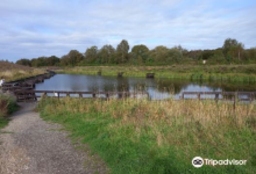 The Avenue Washlands Reserve景点图片