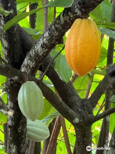 Jardin Creole-勒马兰