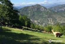 La Bergère d'Alpagas景点图片