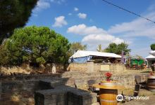 Romisches Weingut Weilberg景点图片