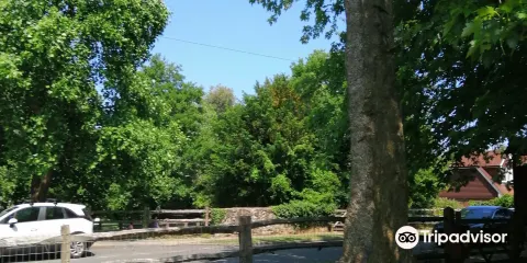 Bradbourne Lake Park