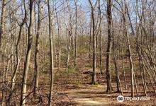 Ward Pound Ridge Reservation景点图片