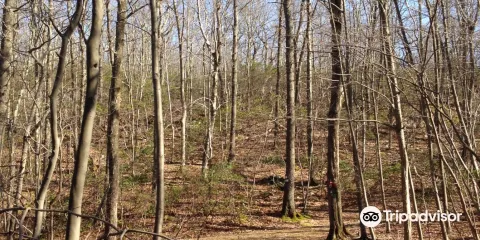 Ward Pound Ridge Reservation