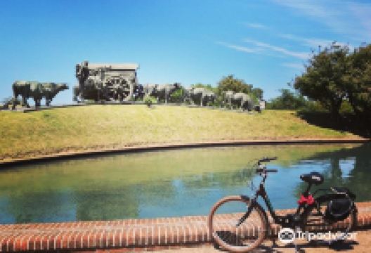 Cyclo Mvd购物图片