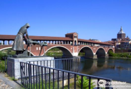 Ponte Coperto景点图片