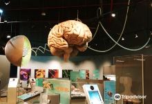 Scitech - Prince Sultan Science and Technology Center景点图片