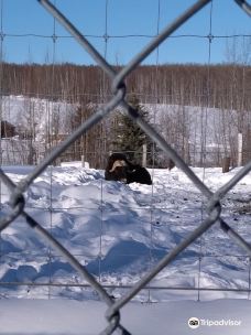 Large Animal Research Station-科利奇