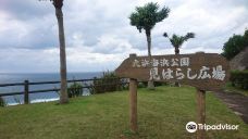 大浜海滨公园-奄美市