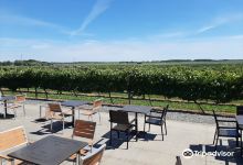 Four Daughters Vineyard & Winery景点图片