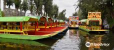 Floating Gardens of Xochimilco-霍奇米尔科