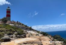 Cape Moreton Lighthouse景点图片