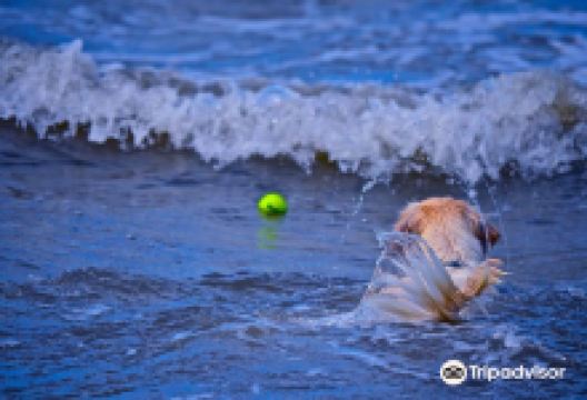 Bau Beach景点图片
