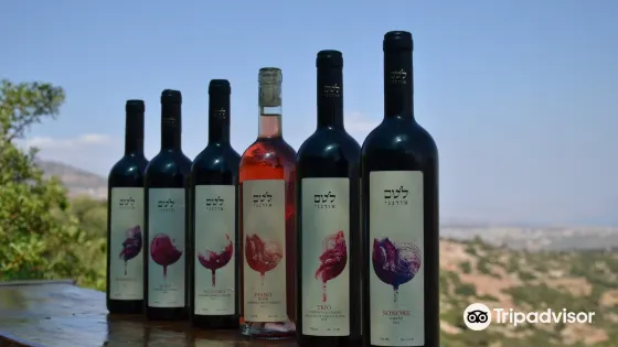 Lotem Winery