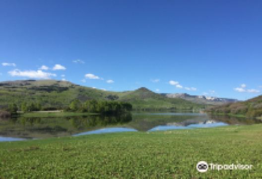 Vega State Park景点图片