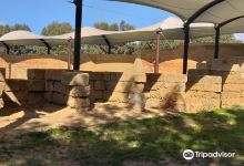 Museo Archeologico di Gela景点图片