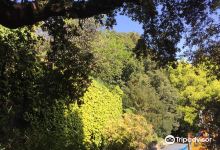 Villa Rossi Martini景点图片