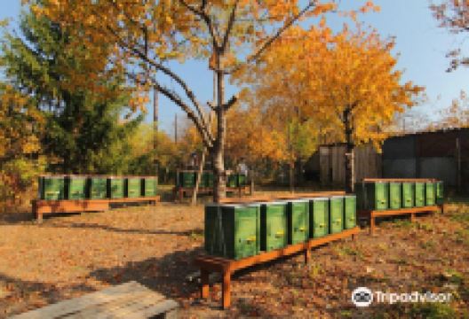 Szabó Apiary景点图片