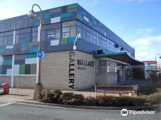 Wallace Gallery Morrinsville-莫林斯维尔