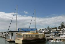Sanctuary Cove Boats & Cruises景点图片