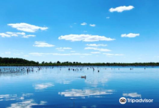 Himmelmoor景点图片