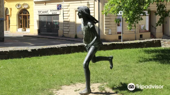 Arts House Opava