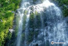 Baiyu Waterfall景点图片