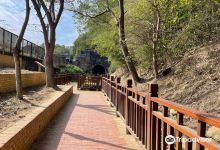 猫里山公园景点图片