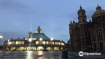 Guadalupe's Basilica Museum