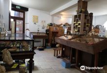 Musee de mineralogie et Paleontologie景点图片