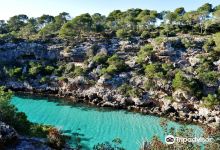 Playa Cala Pi景点图片