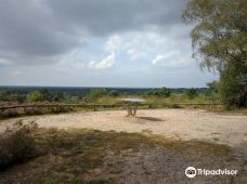 Natuurdiorama Holterberg-霍尔滕