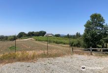 Bumgarner Winery景点图片