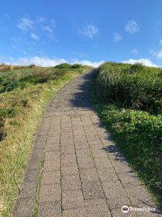 Mutton Bird Island Lookout-考夫斯港