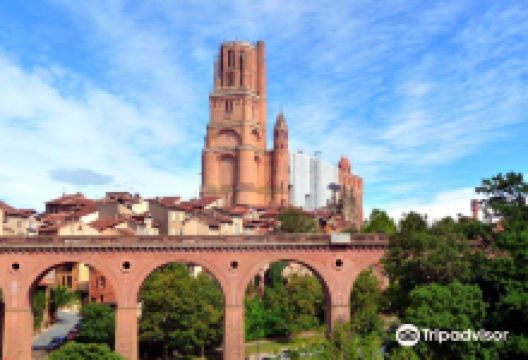 阿尔比主教座堂景点图片