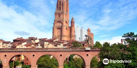 阿爾比主教座堂