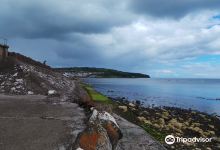 Beach Road Nature Reserve景点图片