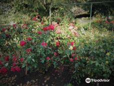 Gore Public Gardens-戈尔