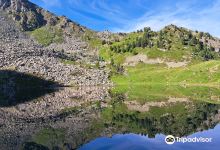 Rifugio Arbolle景点图片