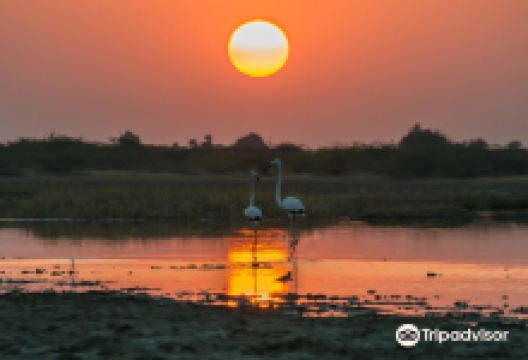 Little Rann of Kutch景点图片