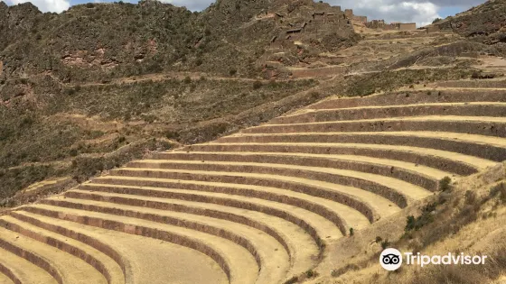 Terrazas Agricolas Periodo Inca